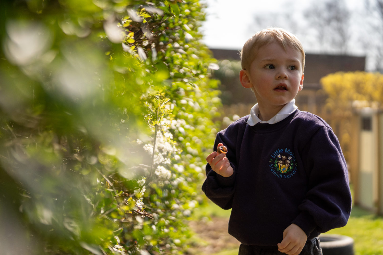 A young boy is shown standing in a sunny outdoor area, holding a Snail shell he has found.
