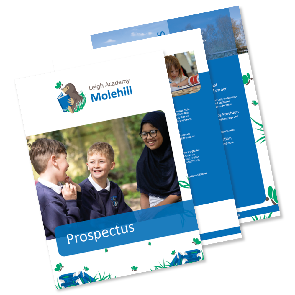 Leigh Academy Molehill Web Tile